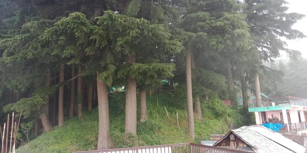 Hotel Forest View Lahri Екстер'єр фото