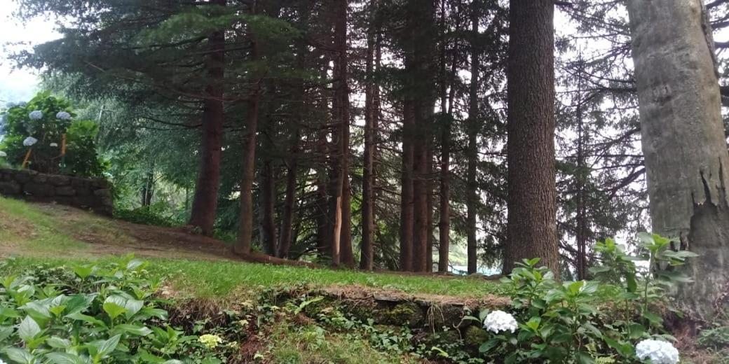 Hotel Forest View Lahri Екстер'єр фото